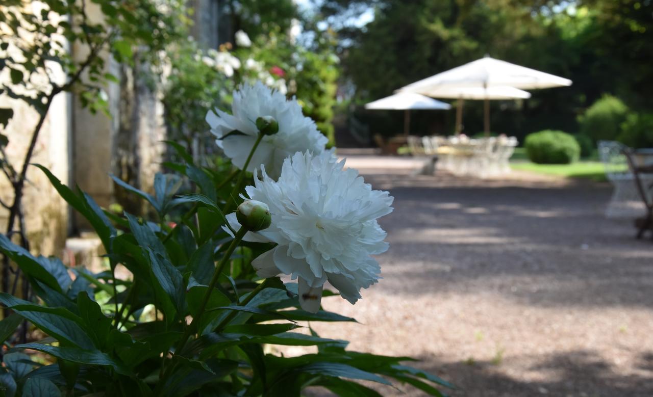 Côté Park Acomodação com café da manhã Givry  Exterior foto